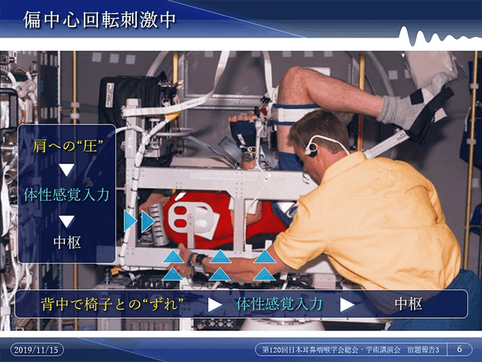 聖マリアンナ医科大学 耳鼻咽喉科教授 肥塚 泉様